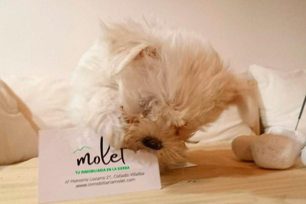 Marketing inmobiliario