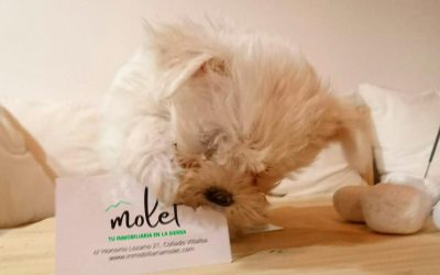 Marketing inmobiliario