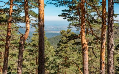 Ventajas de vivir en la Sierra de Madrid